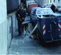 porta inconsciamente a considerare l handicap come sinonimo di disabilità.