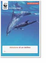 Quanto costa il lavoro sul posto del WWF? Fr. 10 000. per la mappatura e le indagini scientifiche sugli habitat e le popolazioni delle tartarughe marine. Fr. 4000.