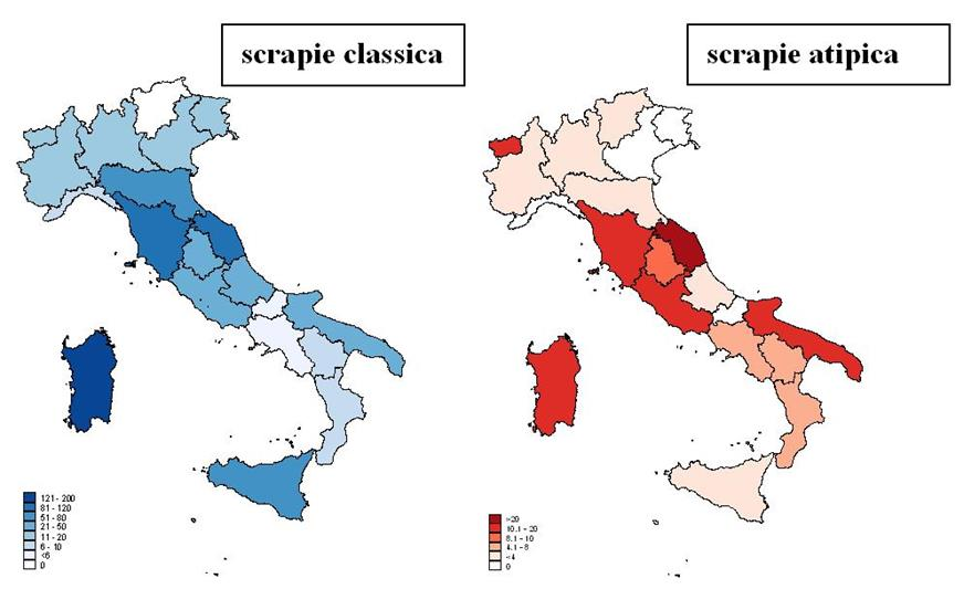 7 SCRAPIE Le misure di gestione degli allevamenti colpiti hanno coinvolto all'incirca 255.000 ovini e oltre 13.500 caprini.