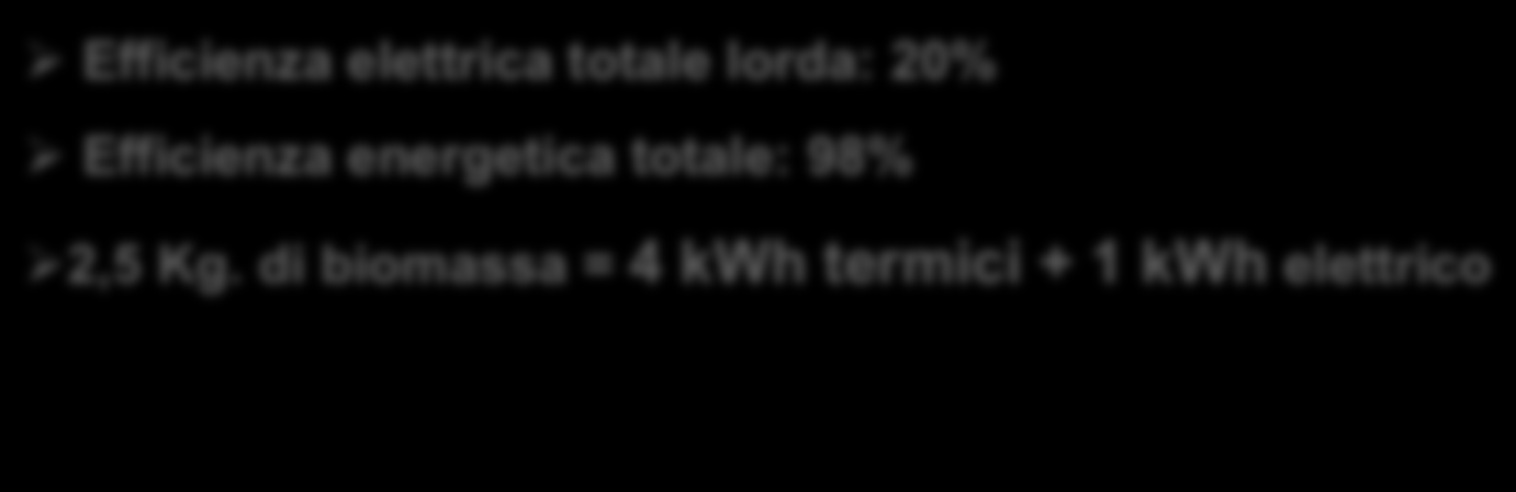Efficienza energetica totale: 98% Ø 2,5 Kg.