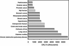 INTRODUZIONE Patologia ossea frattura ossea Figure 1: Burden of diseases estimated