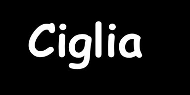 Ciglia