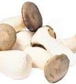 vitamine 10,50 CHF (IVA 2,5% inclusa) Funghi porcini sono