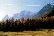 Il progetto " Consapevoli che le Alpi Orobie e le montagne della Lombardia costituiscono uno dei più grandi e ricchi spazi naturali dell'arco alpino, un meraviglioso habitat naturale ed un fecondo