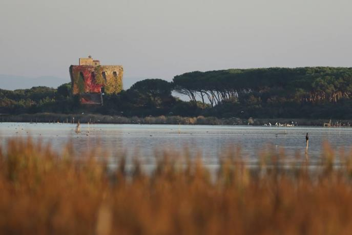 TOUR NELLE OASI WWF DELLA MAREMMA per GRUPPI Le Oasi WWF della Laguna di Orbetello e quella del Lago di Burano rappresentano non solo zone umide ricche di biodiversità, ma anche fra le più