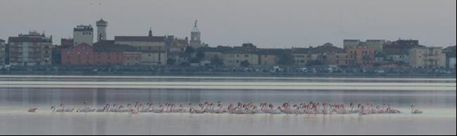 Nelle Oasi non esiste l alta o la bassa stagione, esistono 4 stagioni con colori e odori diversi, con presenze diverse e ritmi diversi, ma tutte e 4 ugualmente attraenti.