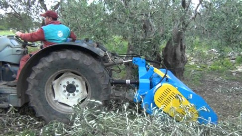 Interventi consigliati 9 per zona Interventi agronomici 10 Previsioni meteo 11 Recapiti di zona 12 L a pu b b li caz io ne settim a