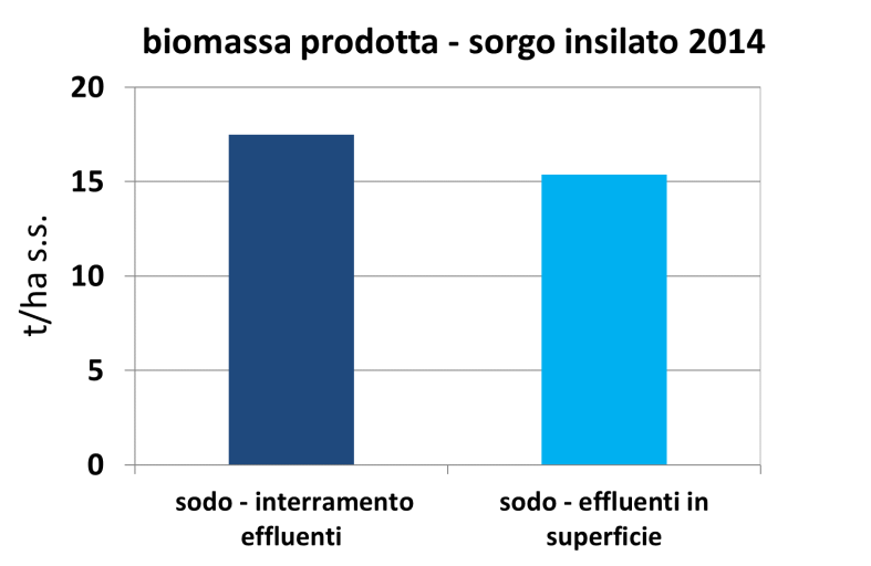 sulle file - interramento alla distribuzione semina su sodo,