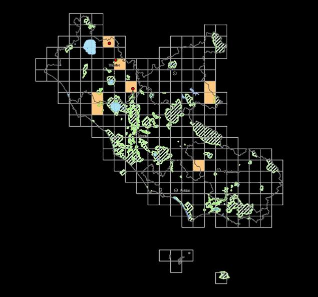 Relazione conclusiva del secondo anno di attività () Lanario (Falco biarmicus) Distribuzione nel Lazio Le indagini condotte nel periodo 2001-2008 hanno fornito un quadro piuttosto esaustivo sulla