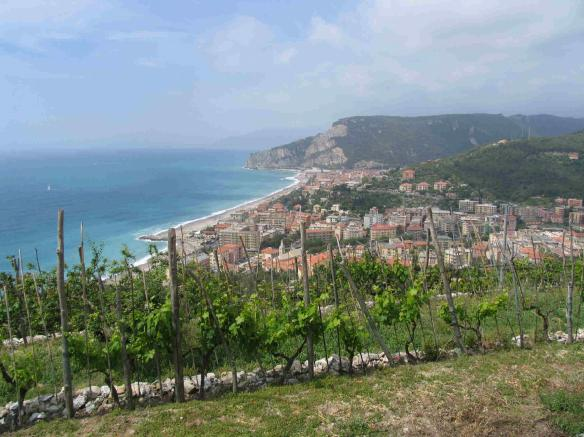 Tornati al bivio sopra il Ponte delle Voze, prendiamo ora il sentiero segnalato con due quadrati rossi che risale una vallata laterale della valle Ponci.