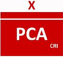 Pagina 11 PCA POSTO COMANDO AVANZATO Il Modulo ha lo scopo di costituire un posto di comando avanzato per il coordinamento radio sul posto 1 ORA 3 ORE 6 ORE PROGRAMMATA DEFINIZIONE di una Unità