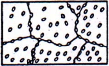 E: Carburi omogeneamente dispersi (nessuna traccia della struttura precedente ferritica/perlitica) F: Carburi omogeneamente dispersi, ma alcuni carburi sono cresciuti tramite coalescenza Tabella 2: