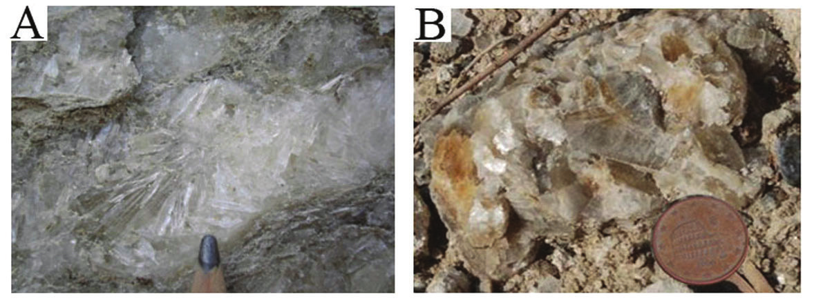I cristalli di gesso che sono stati campionati presentano due tipi di geminazione, a ferro di lancia (Fig. 3 A) e a coda di rondine (Fig. 3 B). I depositi di gesso e l ambiente deposizionale Fig.