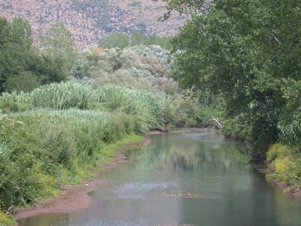 PROVINCIA DI LATINA PROGRAMMA RETE ECOLOGICA MONTI AURUNCI RIO S.