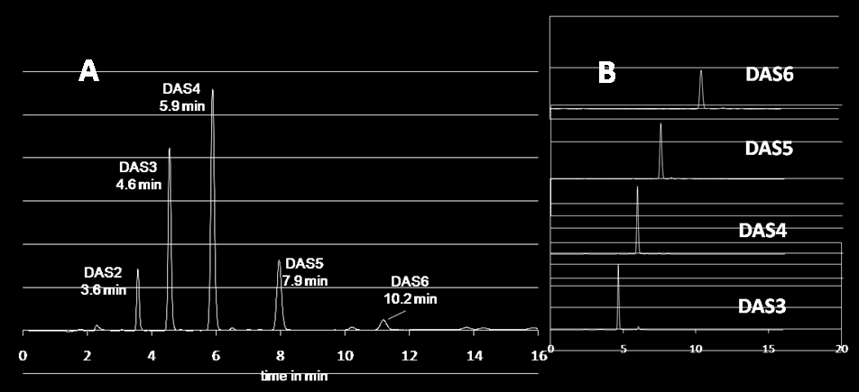 La concentrazione e composizione in molecole biologicamente attive e quindi l efficacia di un estratto di aglio però variano in funzione del processo di estrazione e produzione