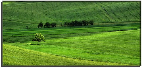 I Parchi Tecnologici a supporto della pubblica amministrazione locale sui