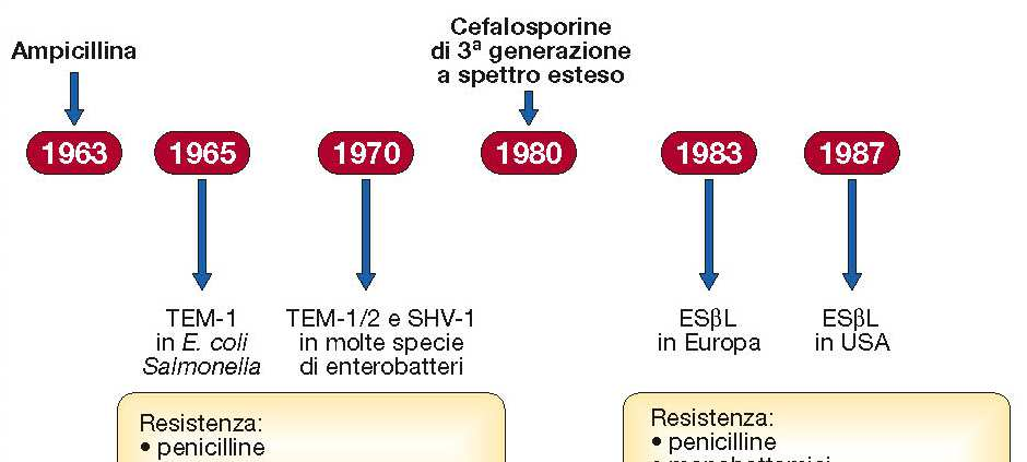 Sensibilità e resistenza agli antibiotici Negli anni 60 è stata identificata in ceppi di E.