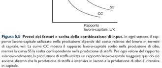 Figura 5.4 Combinazioni possibili di fattori produttivi nella produzione di cibo 19 Possibilità produttive (cont.