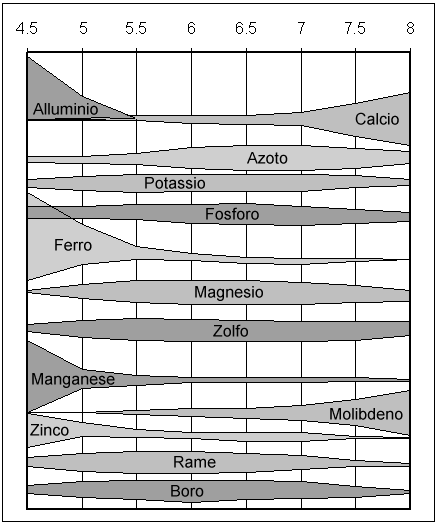 migliore disponibilità degli elementi