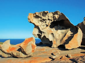 AUSTRALIA MINITOUR Kangaroo in Fuoristrada Dedicato a chi ama immergersi totalmente nella natura e desidera vivere un esperienza unica e personalizzata, un fuoristrada 4x4 in un isola dallo