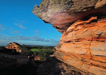 AUSTRALIA MINITOUR Darwin e Kakadu Tour in pullman granturismo che consente di cogliere nel modo più completo le straordinarie bellezze naturali del Parco Nazionale Kakadu, il più esteso d Australia