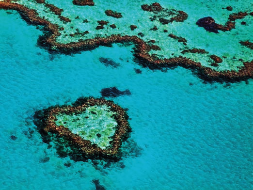 AUSTRALIA PORT DOUGLAS Tropical North & Great Barrier L Australia selvaggia delle grandi foreste pluviali, circondata dai colori della barriera corallina.