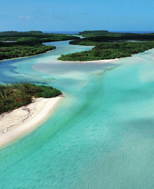 NUOVA CALEDONIA INFO UTILI Nuova Caledonia Un eterna primavera avvolge questa magnifica isola dalla caratteristica forma di baguette che custodisce una straordinaria varietà di piante e di animali,