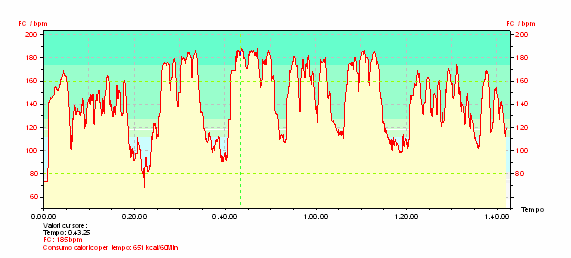 >> CONTROLLO DEL CARICO DI ALLENAMENTO Tecnica di base 5vs2+3 La