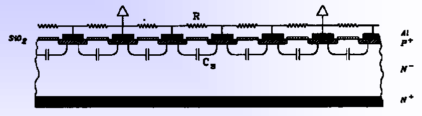Rivelatori di posizione (strip detectors) binary readout