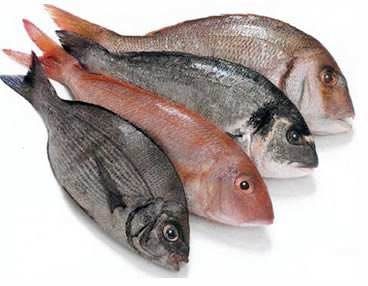 20 Si consiglia di alternare le diverse varietà di pesce, presentando di volta in volta qualità diverse di prodotti ittici diversificandone la modalità di cottura (vedere le indicazioni contenute