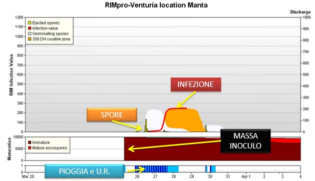 PREVISIONALI RILEVATORI