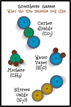 I gas serra Biossido di carbonio - CO 2 : Combustibile per energia e trasporti Processi di produzione (cemento) Metano - CH 4 : Rifiuti Fermentazione enterica dei ruminanti risicoltura