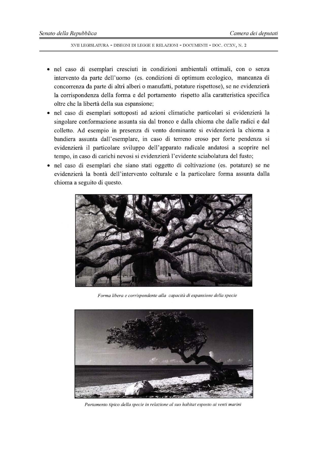 - 188 - XV II LEGISLATURA - DISEGNI DI LEGGE E RELAZIONI - DOCUMENTI - DOC. CCXV, N. 2 nel caso di esemplari cresciuti m condizioni ambientali ottimali, con o senza intervento da parte dell'uomo (es.