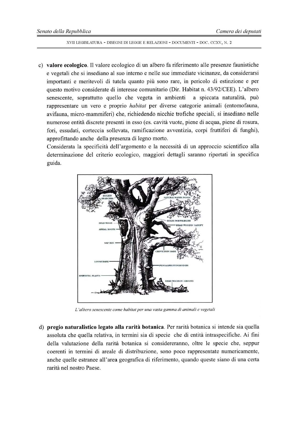 - 190 - XV II LEGISLATURA - DISEGNI DI LEGGE E RELAZIONI - DOCUMENTI - DOC. CCXV, N. 2 c) valore ecologico.