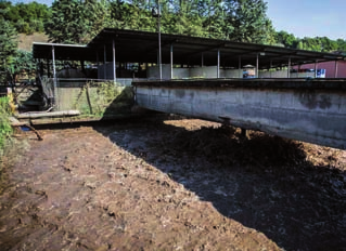 PONTE RIO 10 TRATTAMENTO BIOLOGICO DEI REFLUI URBANI E DEI REFLUI NON CANALIZZATI IMPIANTO TRITURAZIONE SFALCI, POTATURE E MATERIALE LIGNEO CELLULOSICO L impianto di depurazione è costituito da: 1.