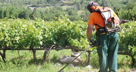 riduzione delle emissioni se le condizioni lo permettono); il tasso di abbandono scolastico deve essere inferiore al 10% e almeno il 40% dei giovani deve essere laureato; 20 milioni di persone in