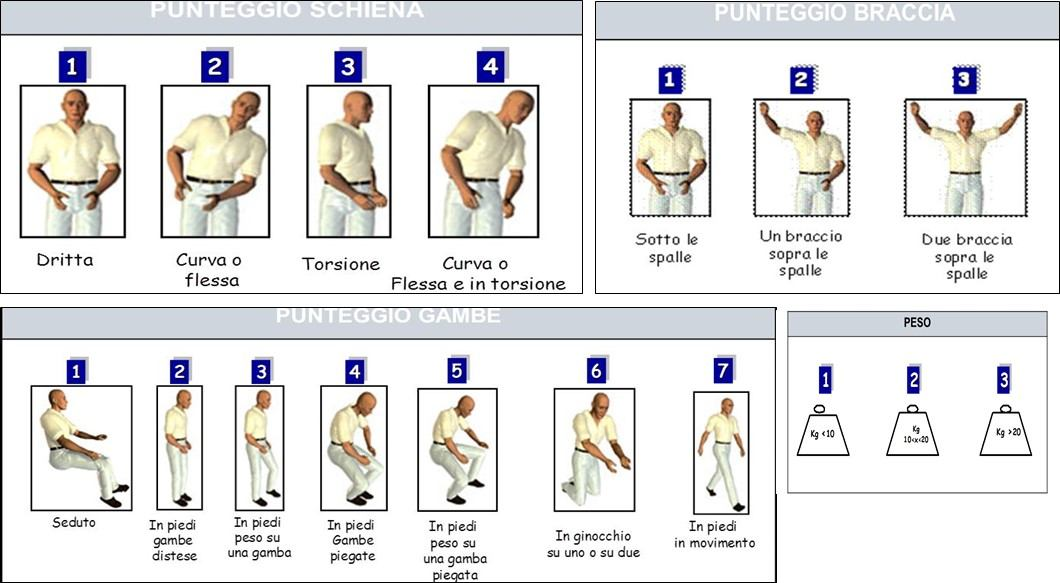 OWAS (OvakO Working Posture AnAlysing SyStem,1977) Studia le possibili posture assunte da un lavoratore, raggruppandole in varie configurazioni, assegnando loro un punteggio progressivo Procedure