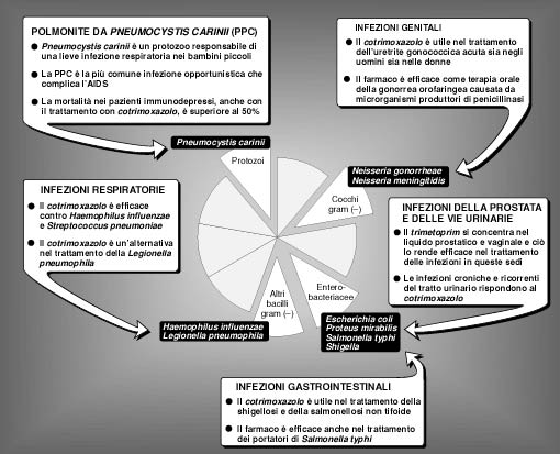 Indicazioni per inibitori