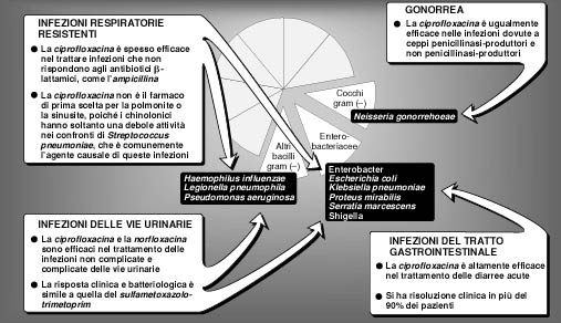 Indicazioni per