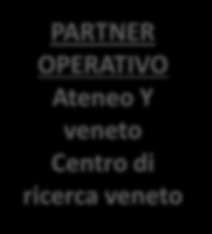 TRANSNAZIONALI PROPONENTE Ateneo X veneto PARTNER OPERATIVO Ateneo Y veneto Centro di ricerca veneto