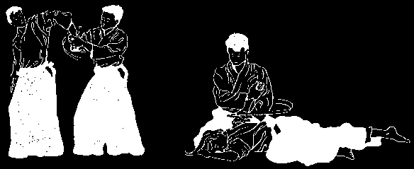 corrispettivo dell Aikido Ude Osae- Ikkyo