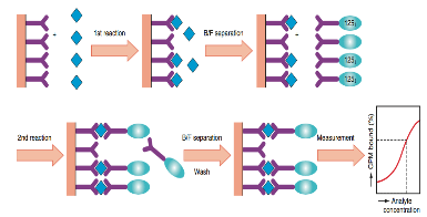 Scopo del lavoro Lo scopo di questo lavoro è quello di confrontare le caratteristiche analitiche di un metodo immuno-chemiluminescente automatizzato (CLIA, Maglumi Snibe), verso un metodo