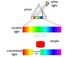 Il colore alla macroscala Spesso pensiamo al colore come ad una proprietà intrinseca degli oggetti.