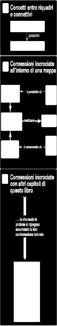 Concetti: regolarità percepibili negli eventi o negli oggetti