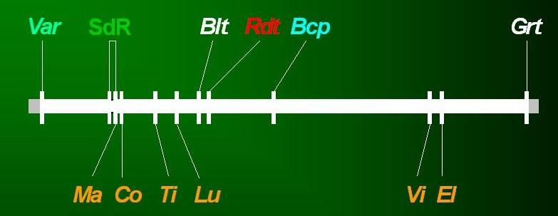 Base metodologica Il metodo si basa su una co-segregazione fra i geni che controllano il tratto quantitativo (QTL) e uno o più marcatori genetici.