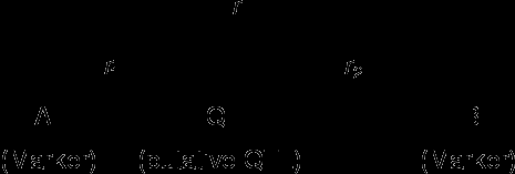 Interval Mapping Per quest'analisi i marcatori devono essere ordinati in una mappa di linkage.