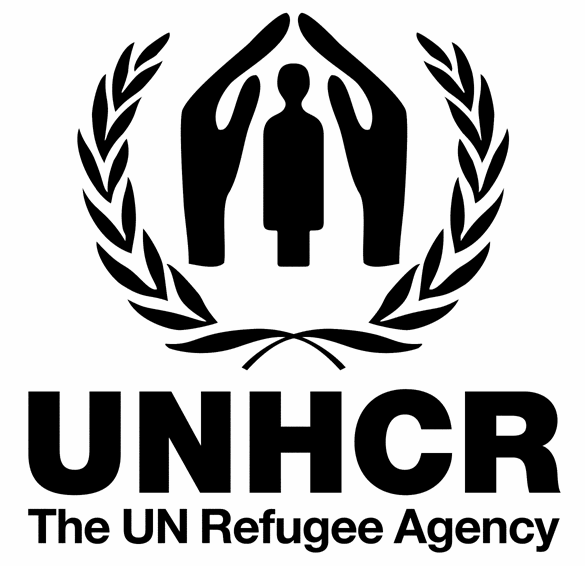 Protezione sussidiaria Osservazioni UNHCR L importanza delle informazioni sui Paesi d origine nel contesto della procedura d asilo II parte Scuola