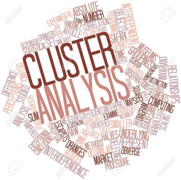 Cluster analysis Identificazione di pattern diversi di utilizzo degli elementi dei programmi fedeltà Clusterizzazione dei