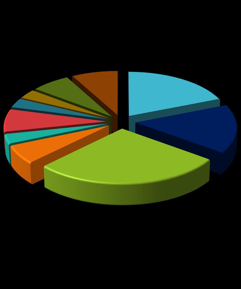 Dimensione aziendale 55% 21% 7% 0-100 101-250 251-350 oltre 350 Il campione 17% Telco e media Banche e assicuraz ioni