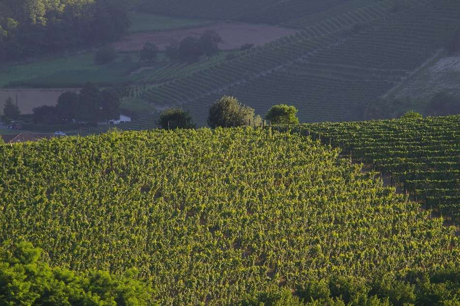 GLI OSSERVATORI ITALIANI TOP DOWN